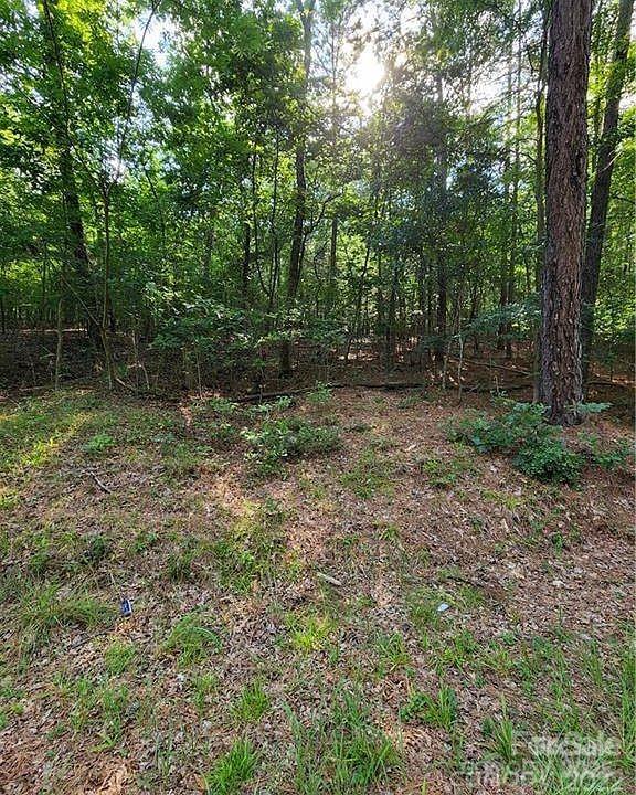 0 Bishop Lane Mill Spring, NC 28756 - Photo 3 of 3