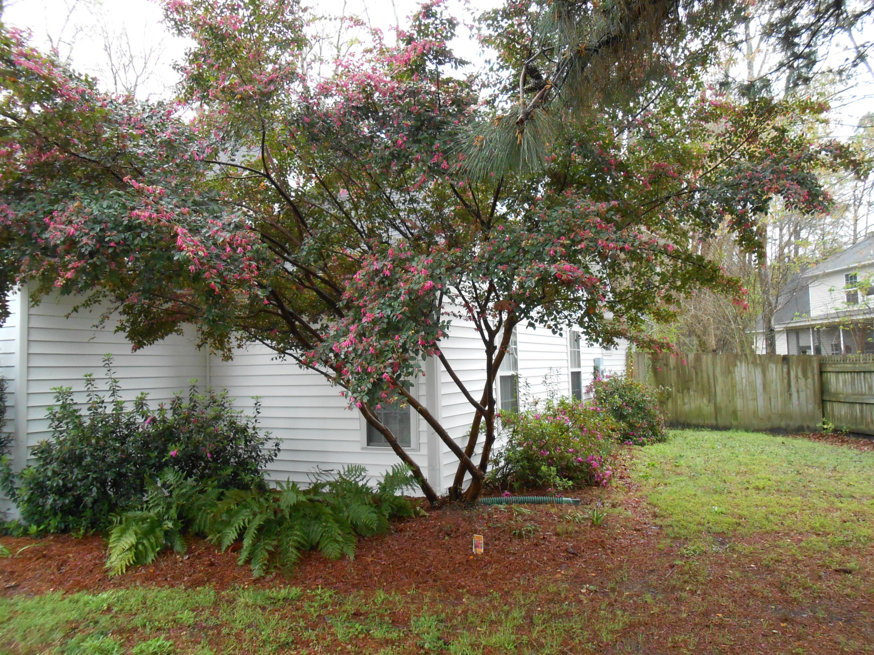 2869 August Road Johns Island, SC 29455 - Photo 23 of 27 DSCN0714.JPG