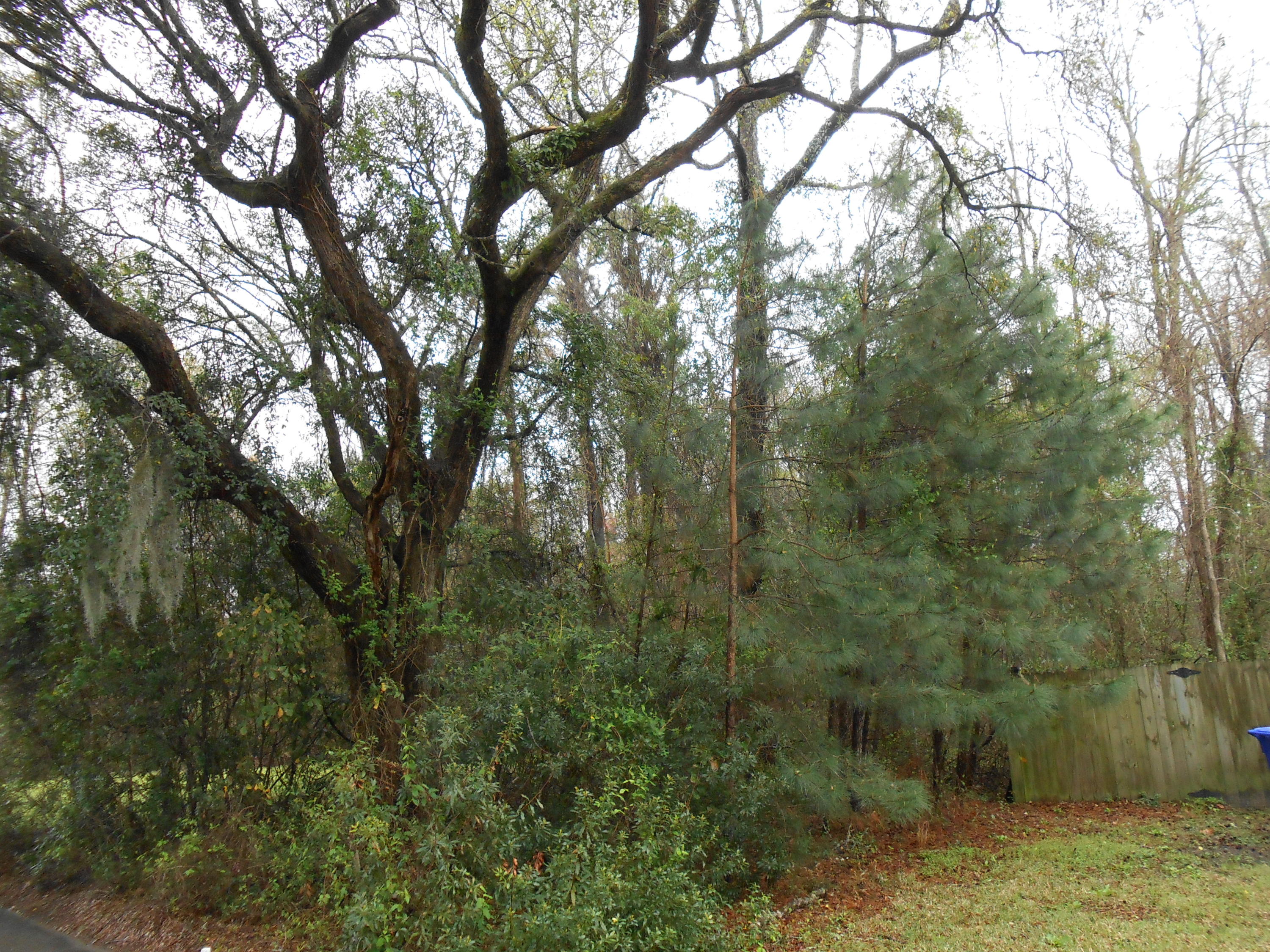 2869 August Road Johns Island, SC 29455 - Photo 26 of 27 DSCN0715.JPG