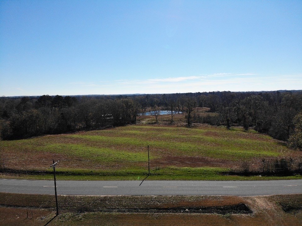 39-acres Eddins Road Dothan, AL 36301 - Photo 5 of 19