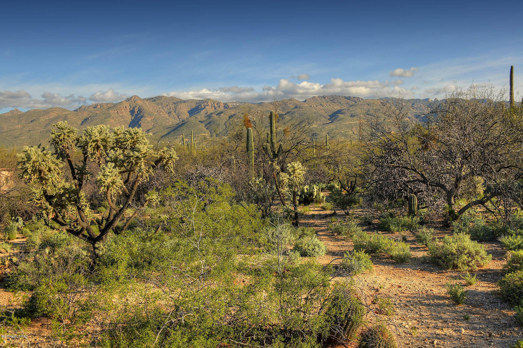 12350 East Prince Road Tucson, AZ 85749 - Photo 28 of 44 Gallery Image 28