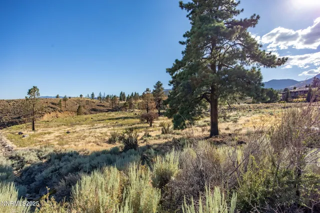 a view of a big yard with a house in the background
