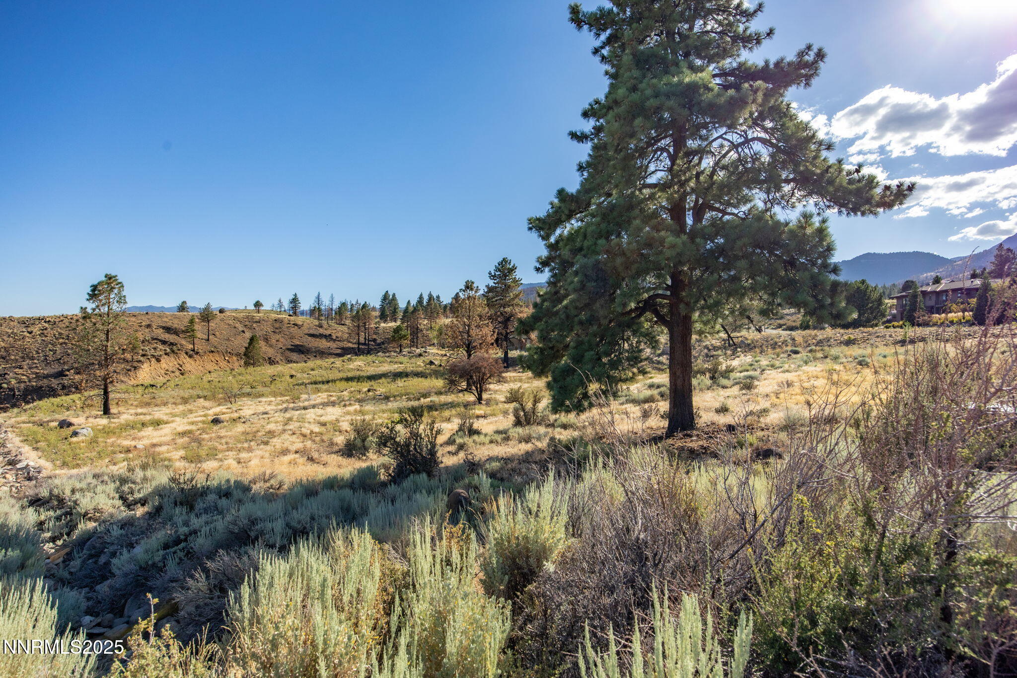 203 South Argyle Court Reno, NV 89511 - Photo 19 of 30 a view of a lake view