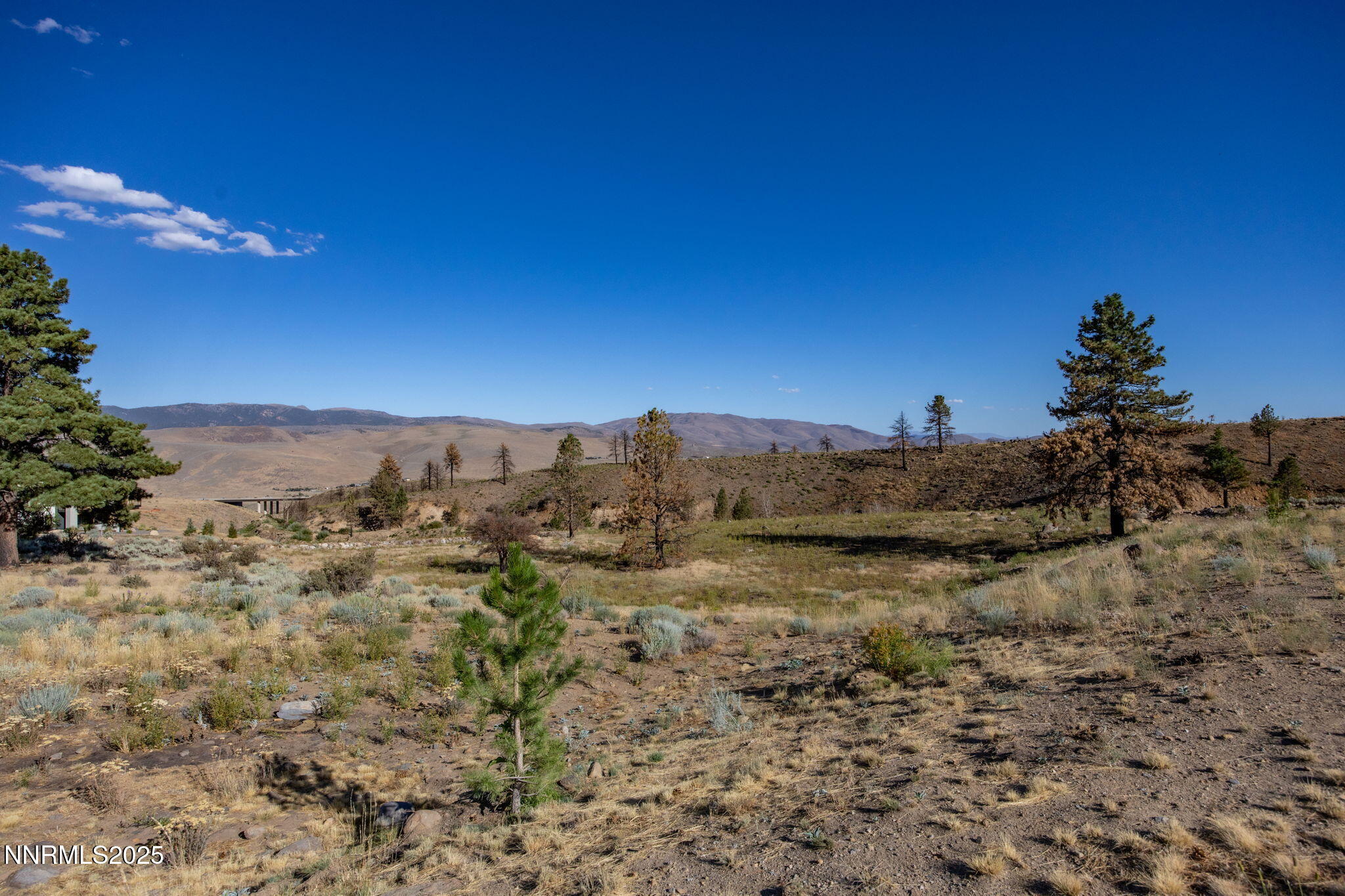 203 South Argyle Court Reno, NV 89511 - Photo 20 of 30 a view of a big yard with a house in the background