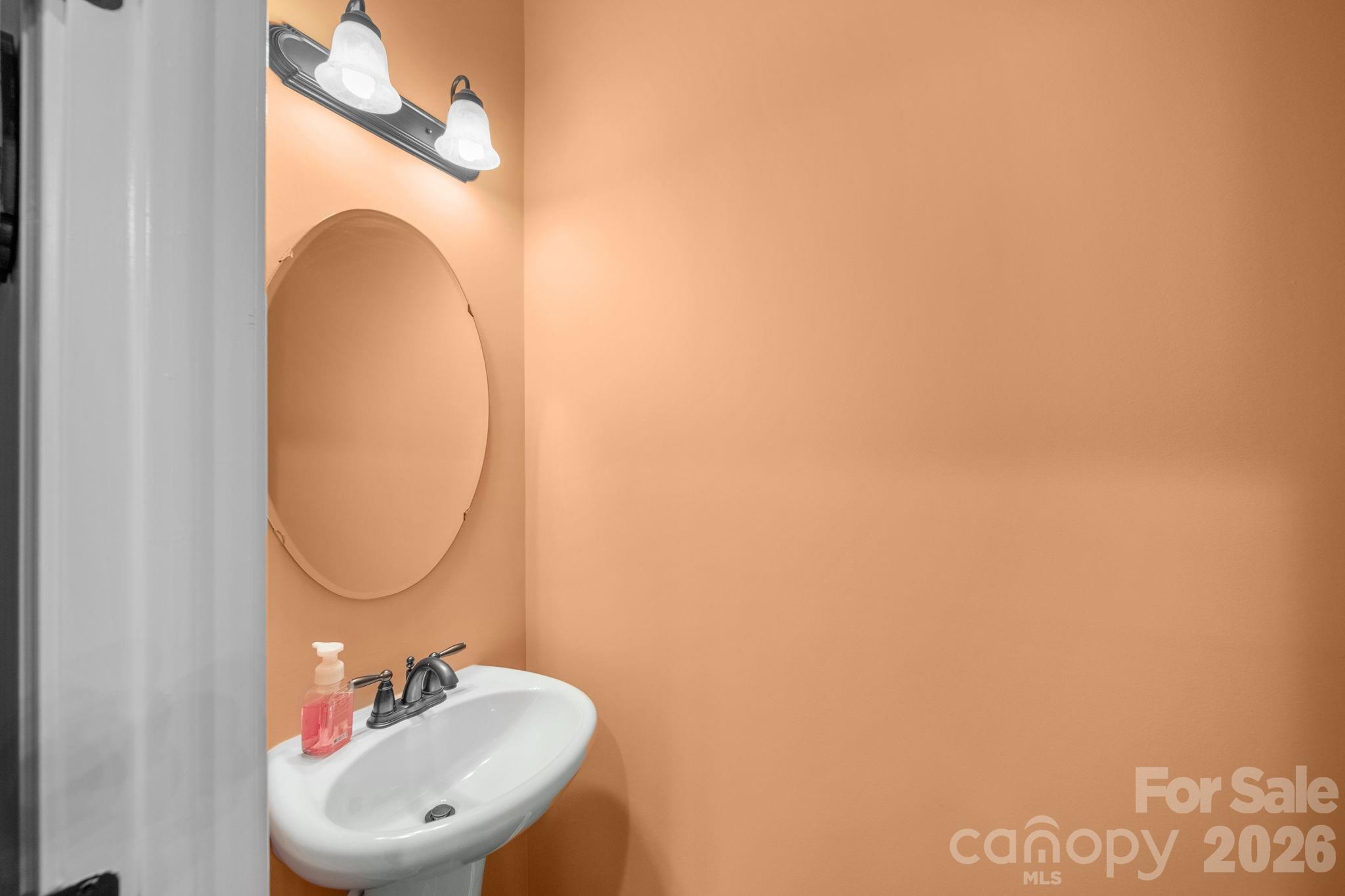 115 Inlet Point Drive Fort Mill, SC 29708 - Photo 15 of 48 a bathroom with a sink and a mirror