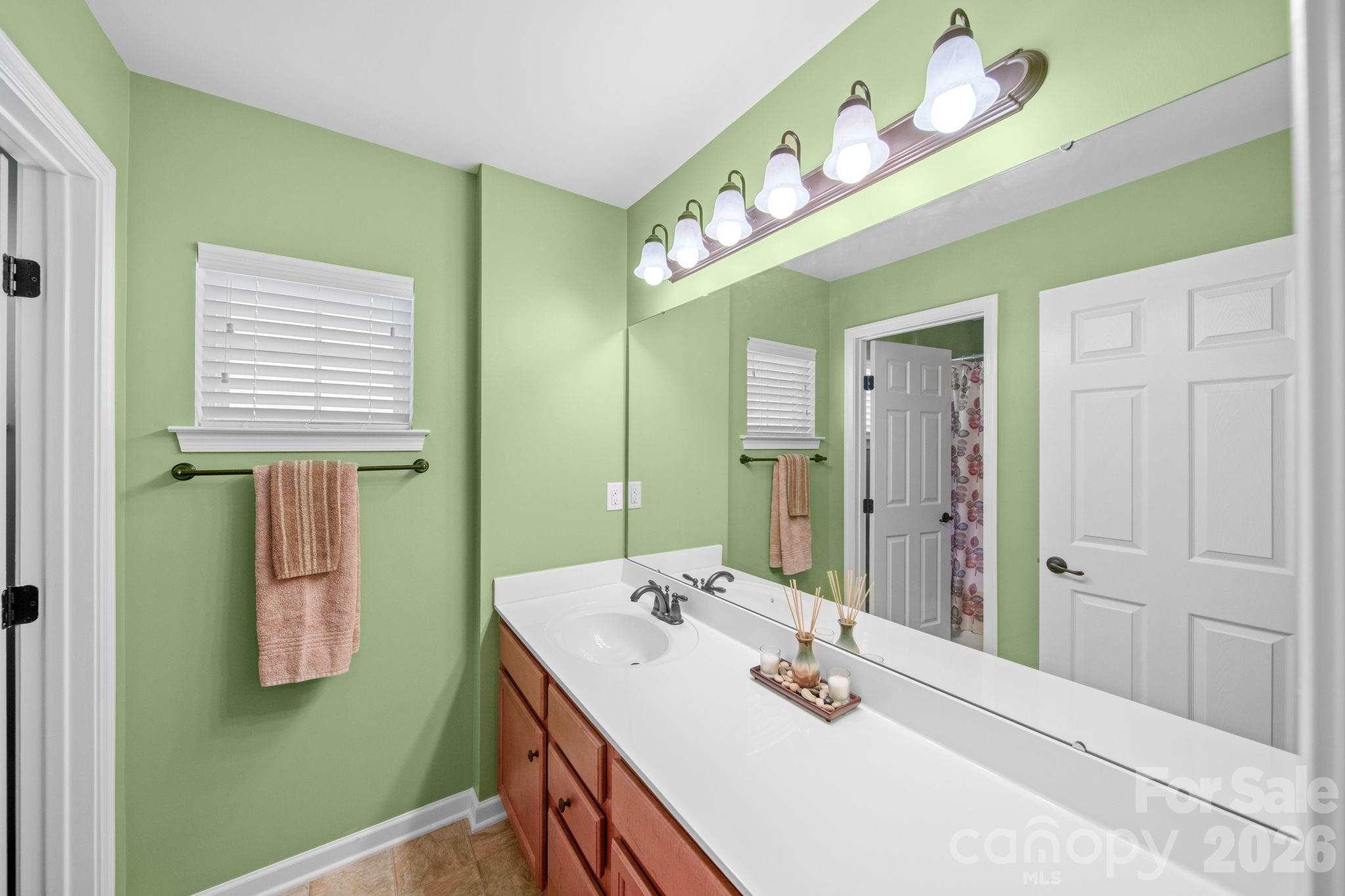 115 Inlet Point Drive Fort Mill, SC 29708 - Photo 26 of 48 a bathroom with a sink a vanity and a mirror
