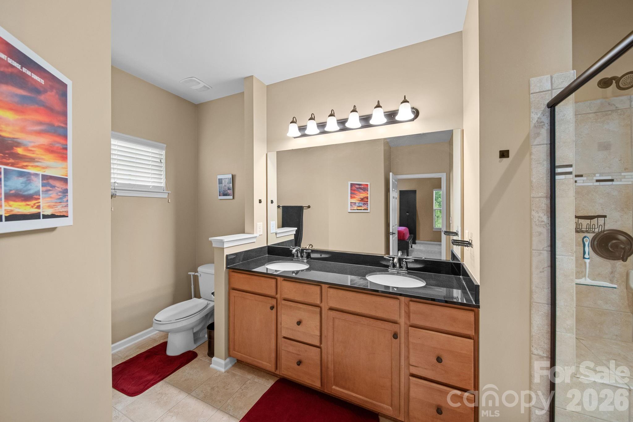 115 Inlet Point Drive Fort Mill, SC 29708 - Photo 35 of 48 a bathroom with a granite countertop sink mirror and toilet