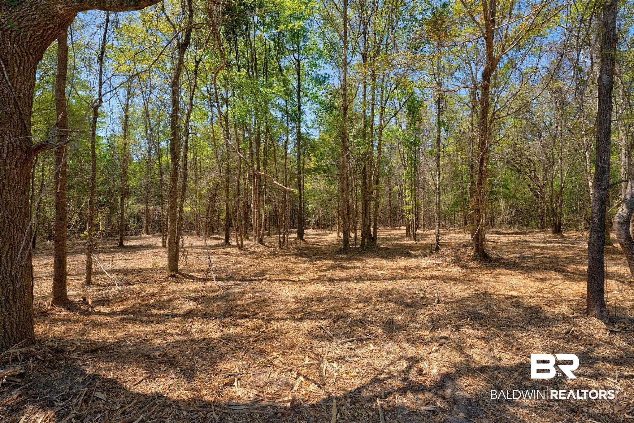 44772 Phillipsville Road Bay Minette, AL 36507 - Photo 1 of 15 Gallery Image 1