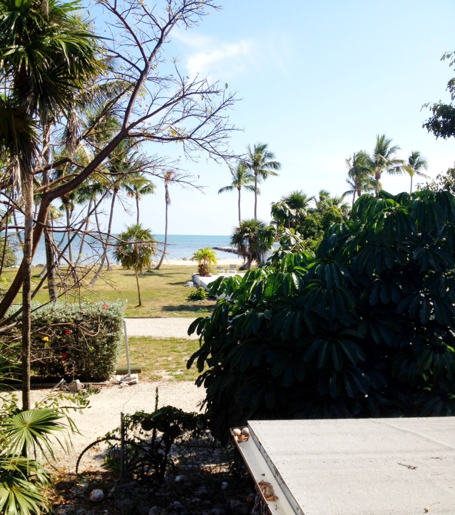 222 Coral Road Islamorada, FL 33036 - Photo 4 of 6 view from the porch