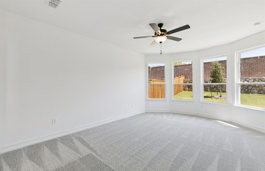 4901 Ripley Avenue Celina, TX 75009 - Photo 12 of 21 Primary Bedroom with Bay Windows