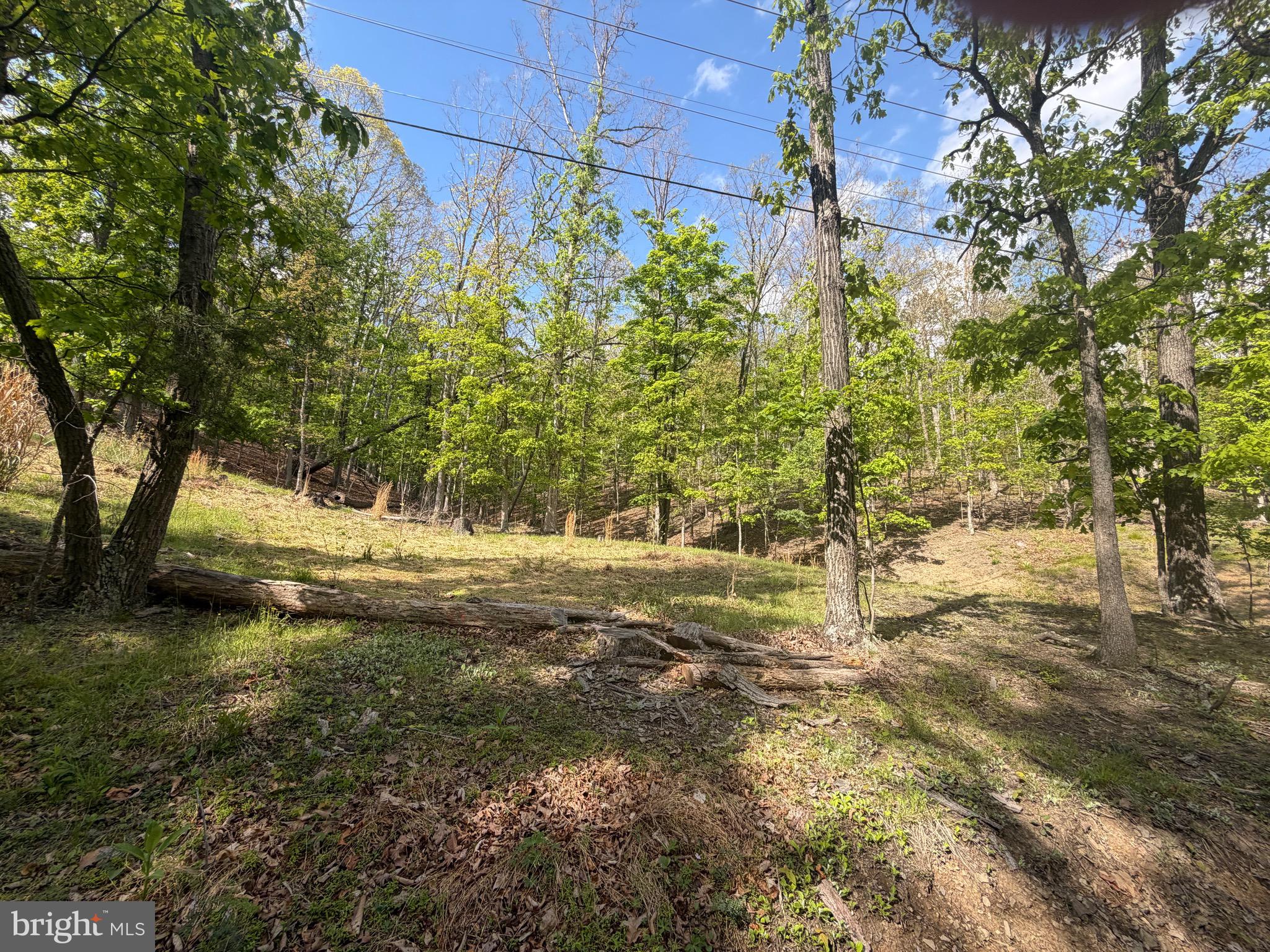 0 Baker Hollow Road Fort Ashby, WV 26719 - Photo 4 of 6