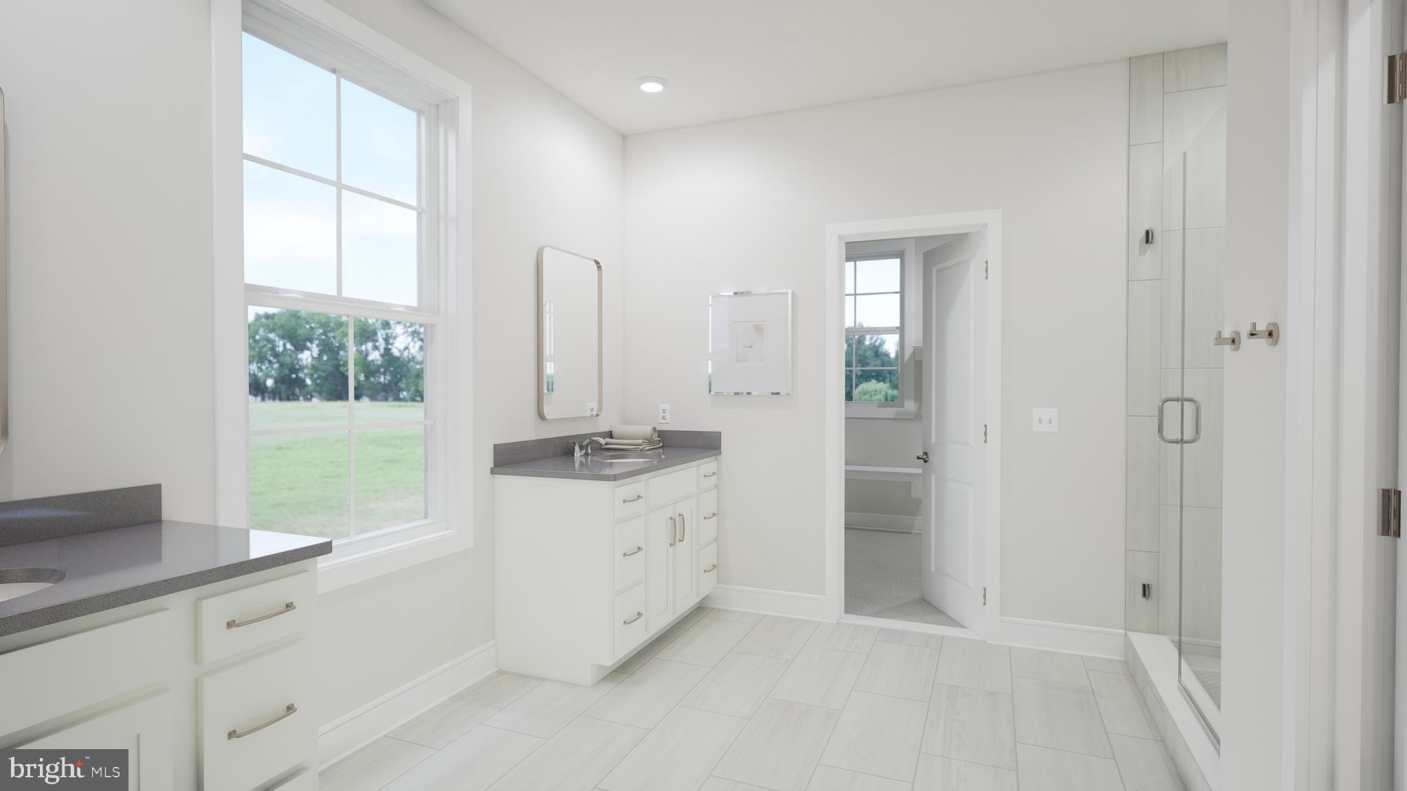 Snowden Bridge Boulevard Stephenson, VA 22656 - Photo 11 of 53 a bathroom with a granite countertop sink mirror and a bathtub