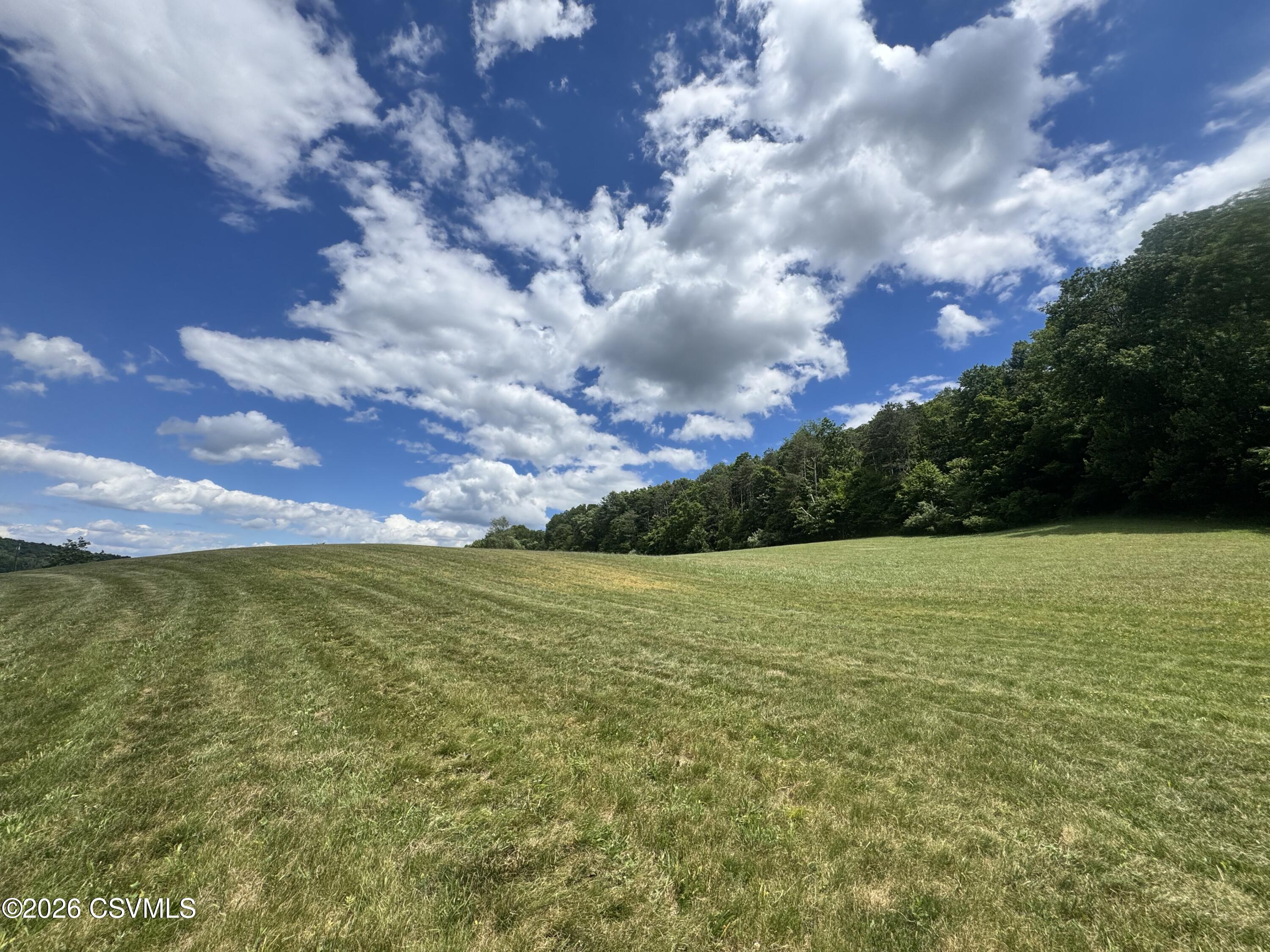 Lot #6 Old Reading Road Sunbury, PA 17801 - Photo 6 of 9