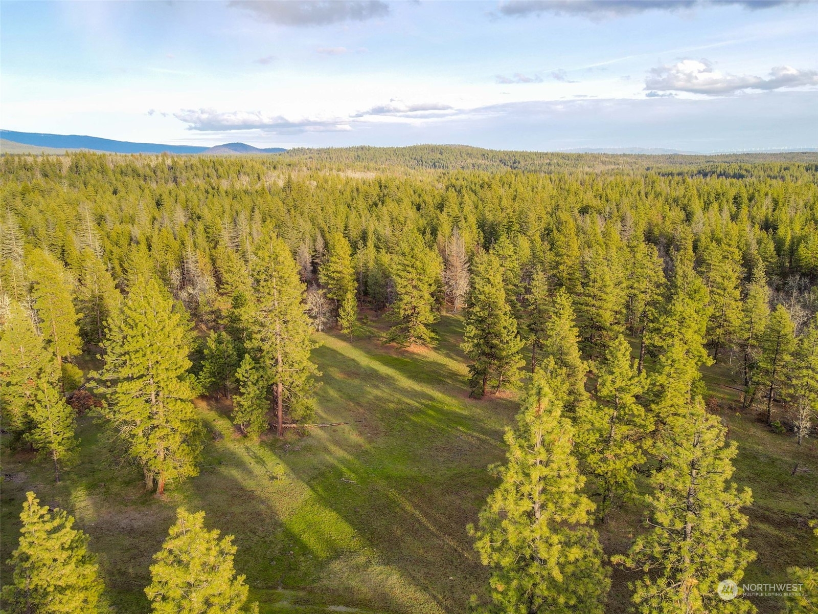 14 Greyback Mt Road Goldendale, WA 98620 - Photo 15 of 25 Gallery Image 15