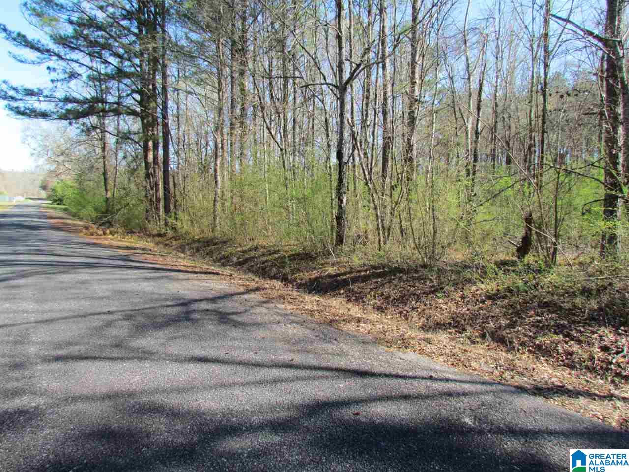 0 Petty Road Odenville, AL 35120 - Photo 3 of 5