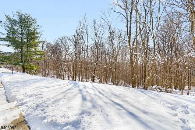 a view of empty space with large trees