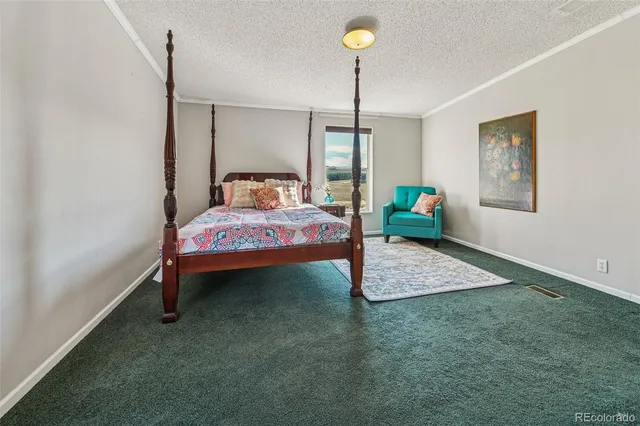 a bedroom with a bed and a closet