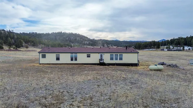 a view of a house with a yard and a large tree