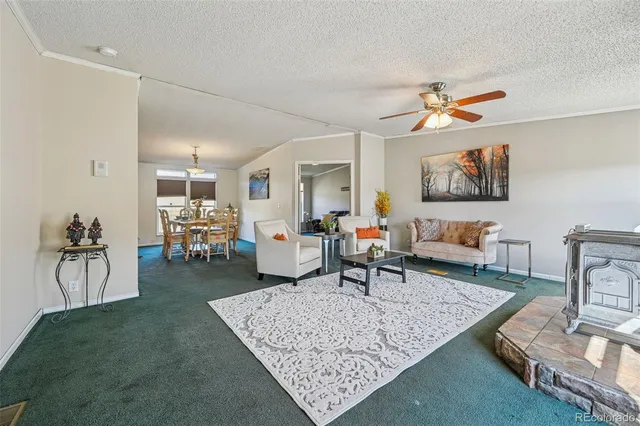 a living room with furniture and a rug