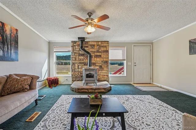 a living room with furniture and a rug
