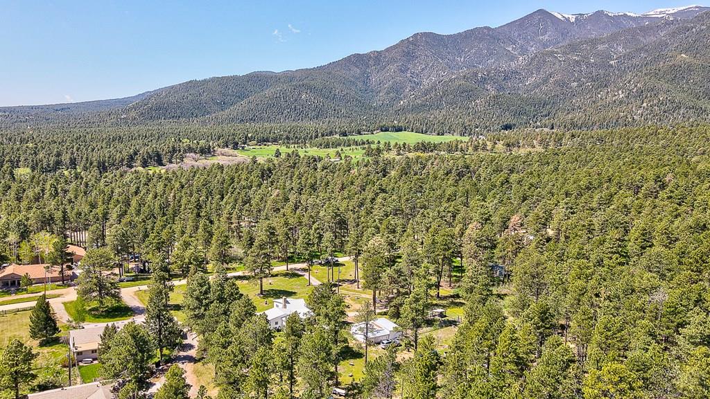 8221 Green Tower Lane Rye, CO 81069 - Photo 34 of 40