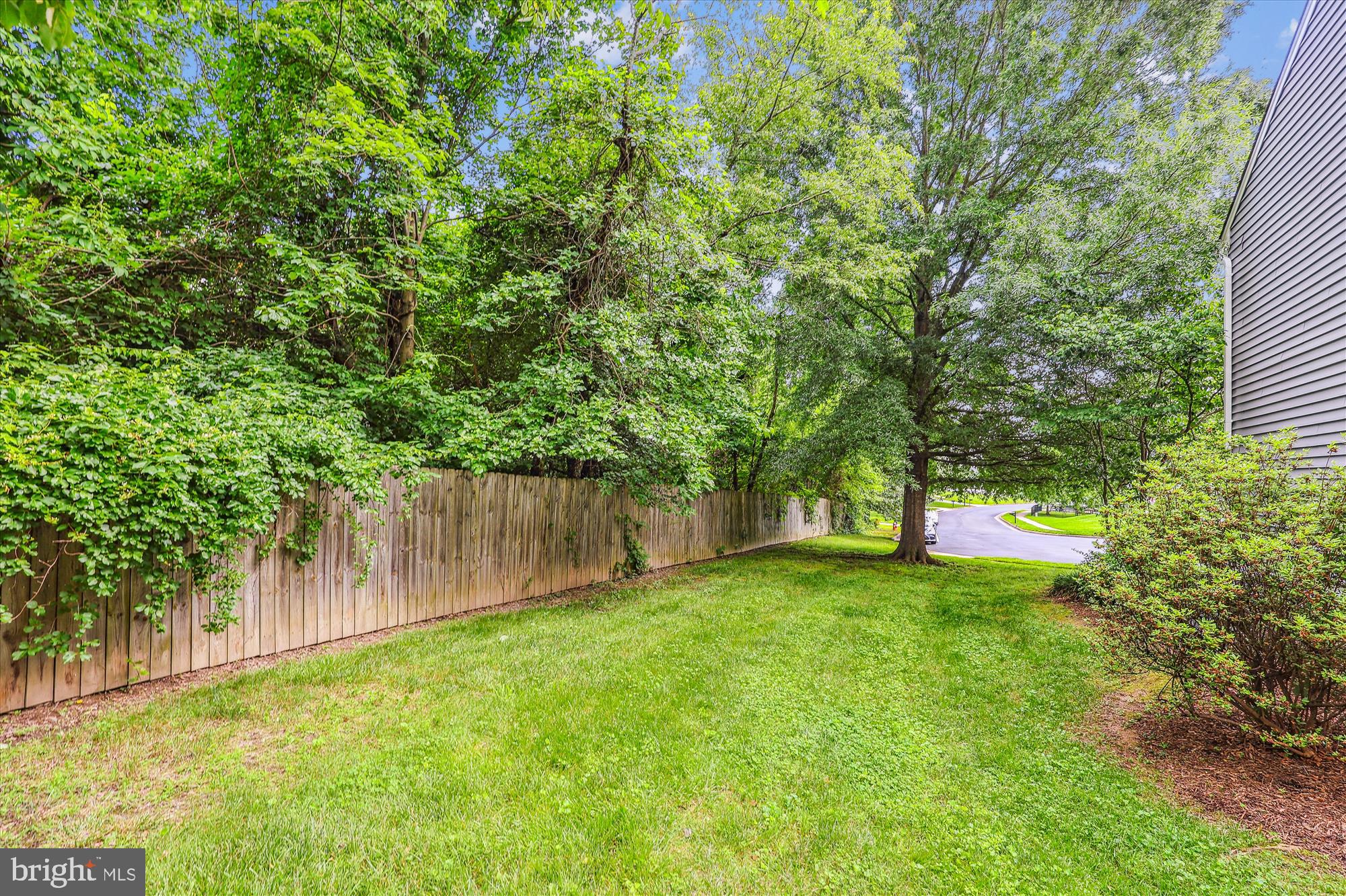 7100 Dudrow Court Springfield, VA 22150 - Photo 50 of 68 Side Yard