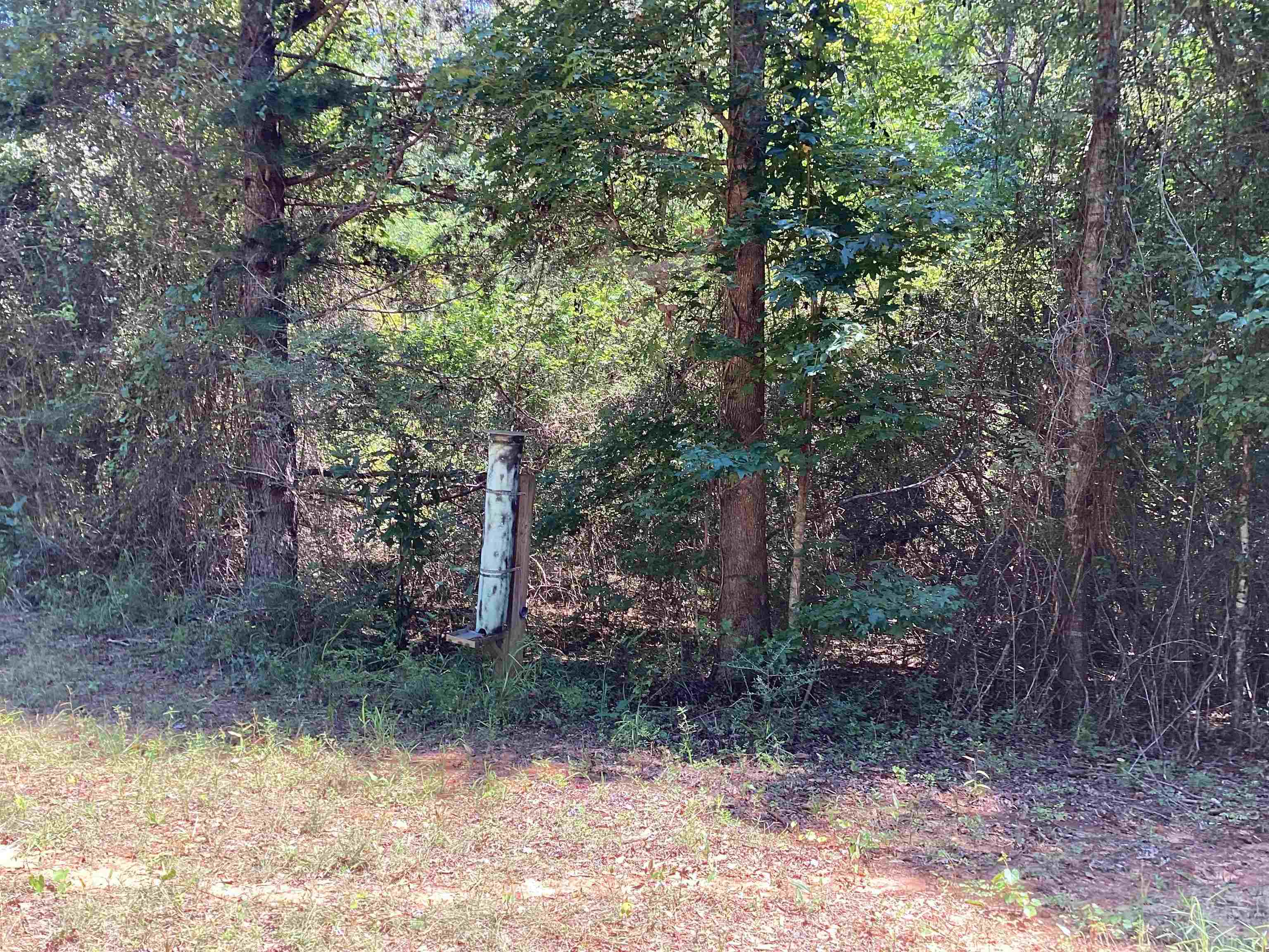 2.9 Jasper Road Dozier, AL 36028 - Photo 4 of 11 Gallery Image 4