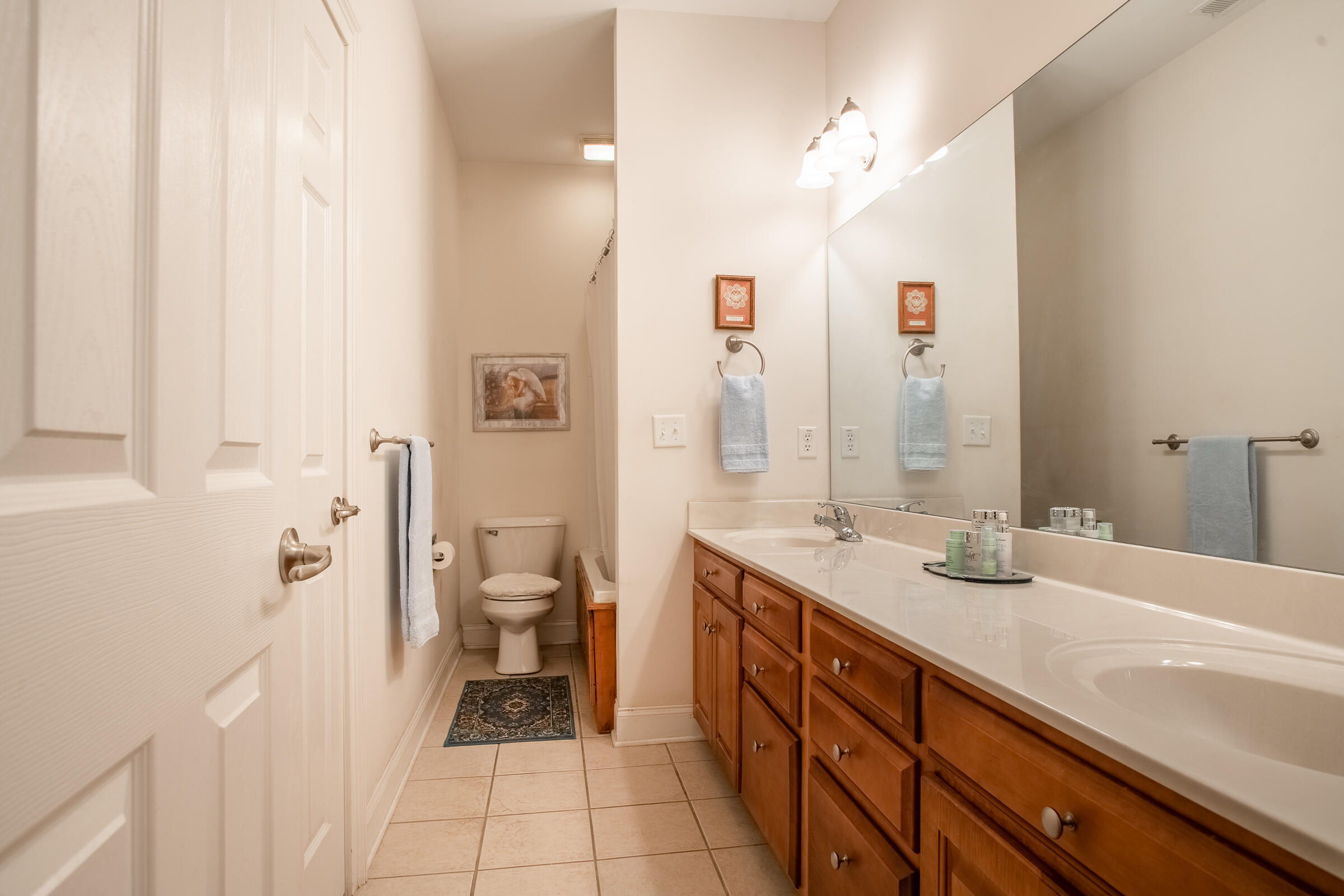 7516 Noah Reid Road, Unit 9 Chattanooga, TN 37416 - Photo 19 of 32 Master Bath