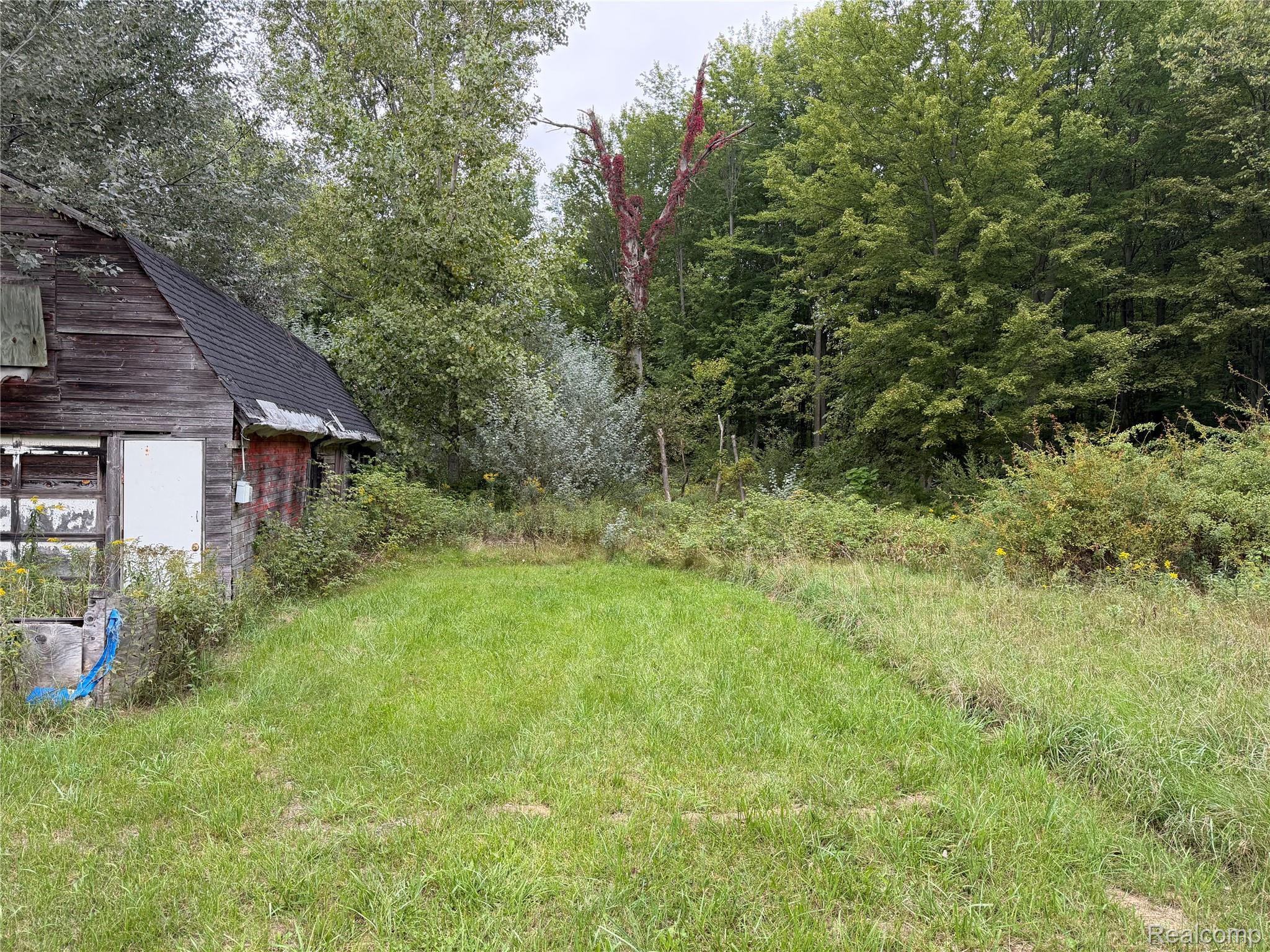 3782 Hanes Road Vassar, MI 48768 - Photo 3 of 16 IMG_2063.jpeg