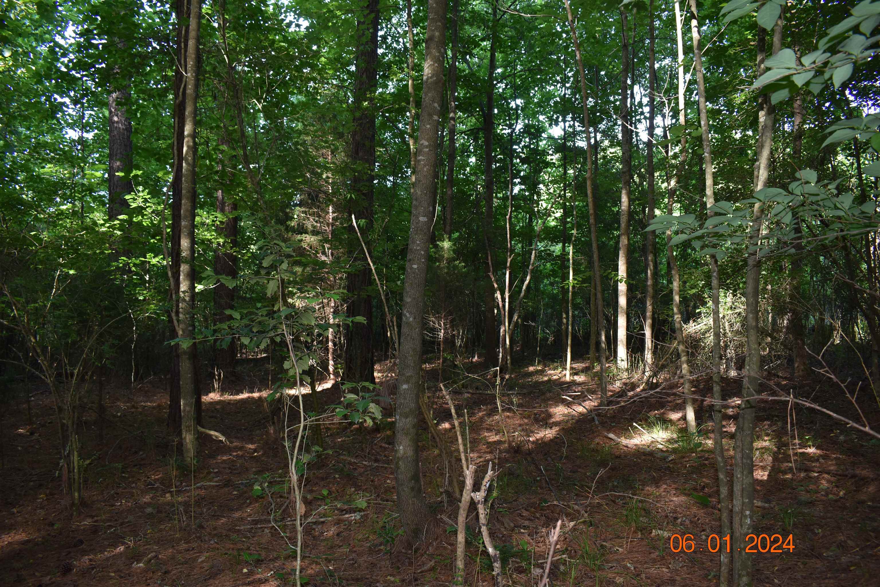 Lookout Tower Road Blacksburg, SC 29702 - Photo 8 of 10