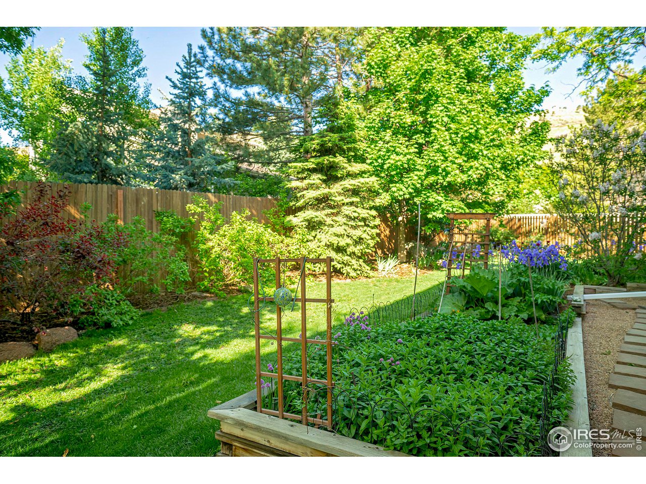 476 Locust Place Boulder, CO 80304 - Photo 35 of 38 a view of backyard with plants and lake view
