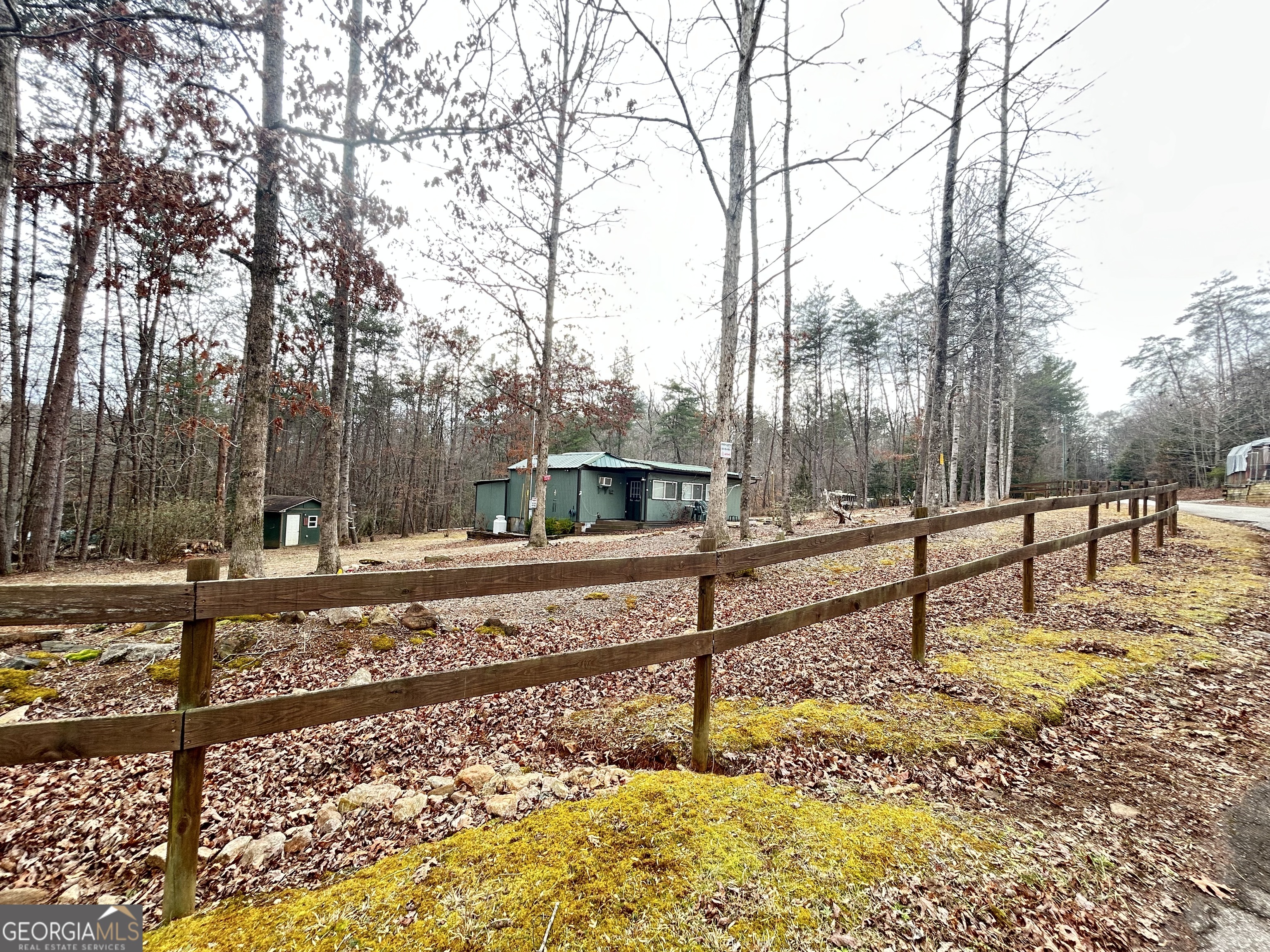 a view of a yard with trees
