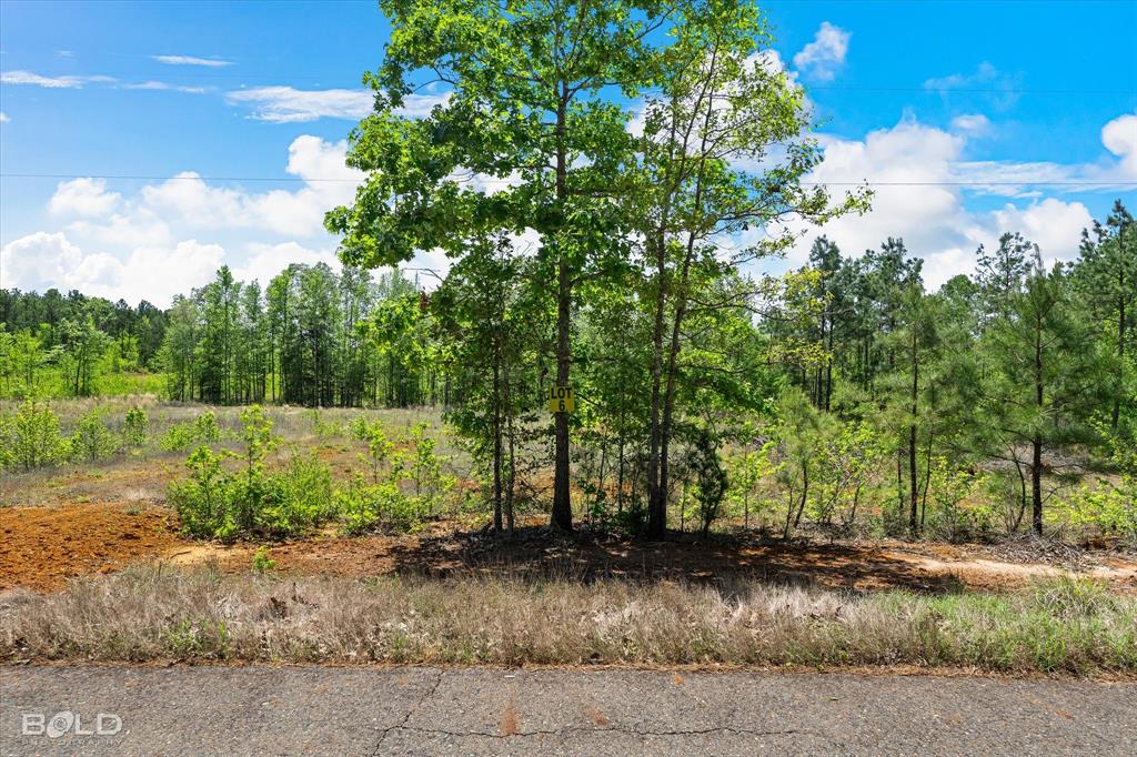 250 Martin Road Plain Dealing, LA 71064 - Photo 1 of 1 View of landscape with a forest view