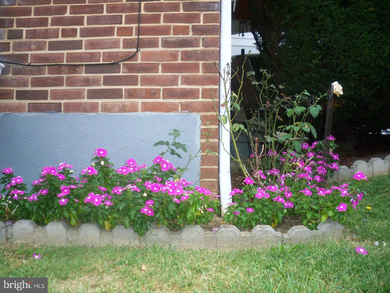 101 Cherrydell Road Catonsville, MD 21228 - Photo 19 of 30 Exterior (General)