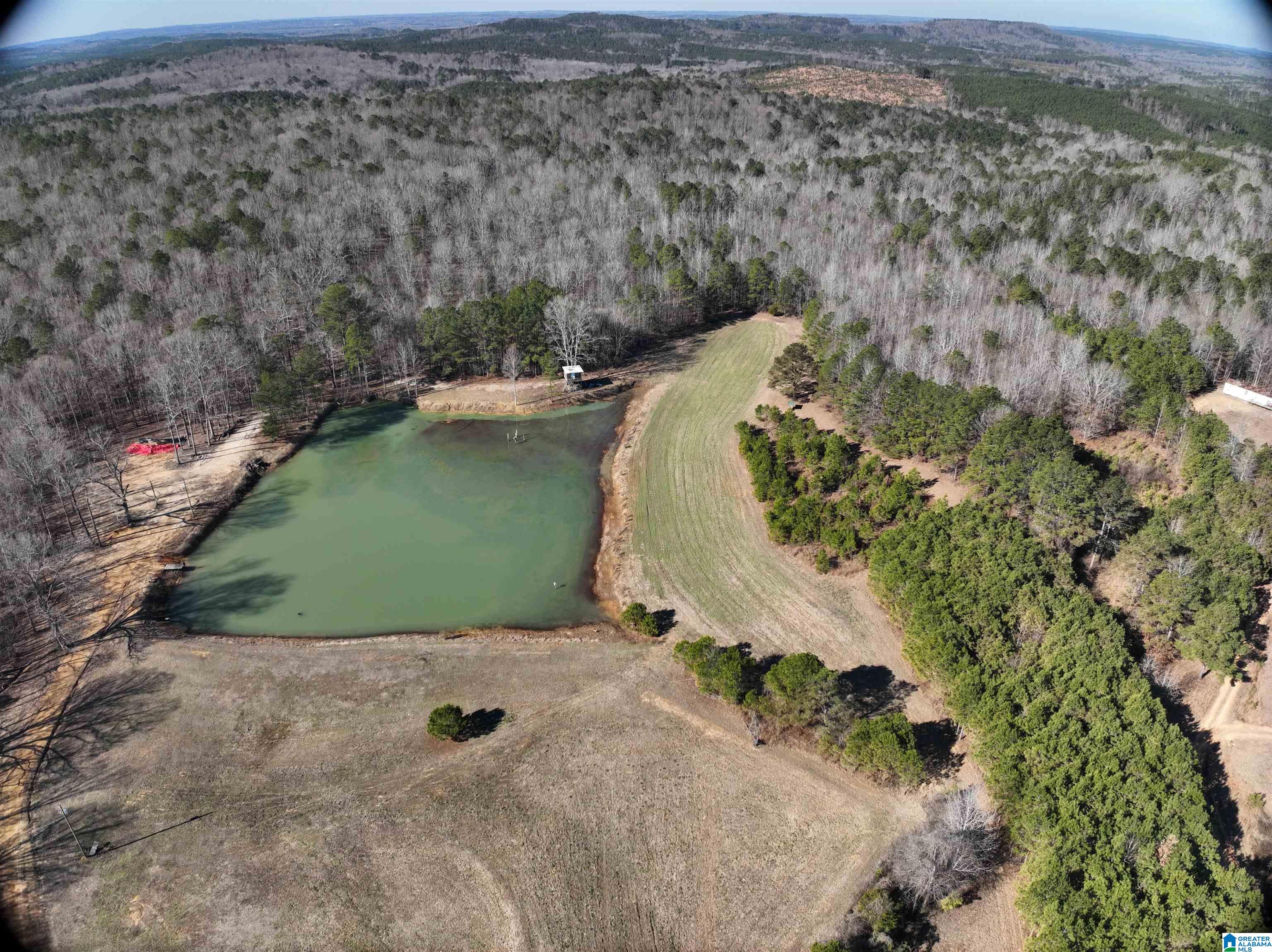 6171 Highway 102, Unit 1 Fayette, AL 35555 - Photo 13 of 68
