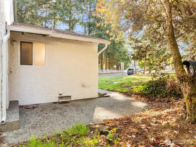 a view of a backyard with large trees