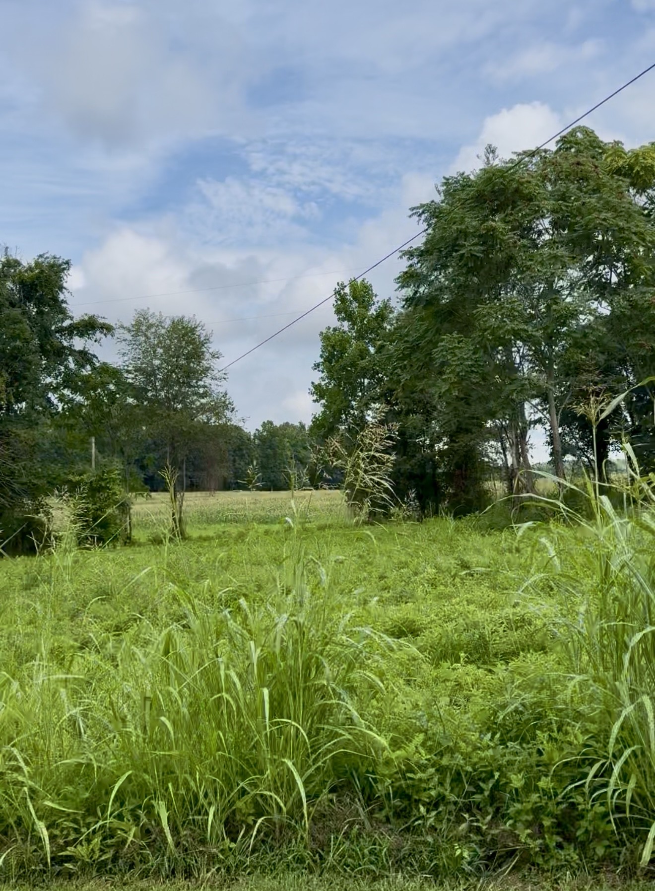 a backyard of a house with lots of green space