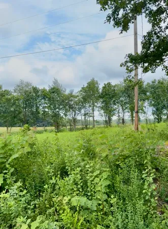 $165,000 | 255 Shoals Road, Rock Island, TN 38581