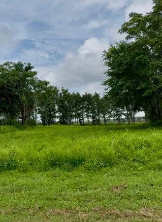 $165,000 | 255 Shoals Road, Rock Island, TN 38581