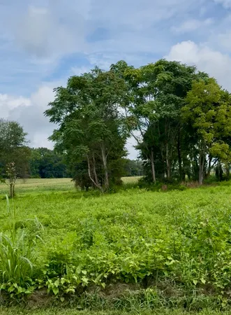 $165,000 | 255 Shoals Road, Rock Island, TN 38581