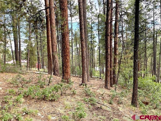 226 Elk Drive Bayfield, CO 81122 - Photo 3 of 8 a backyard of a house with lots of green space