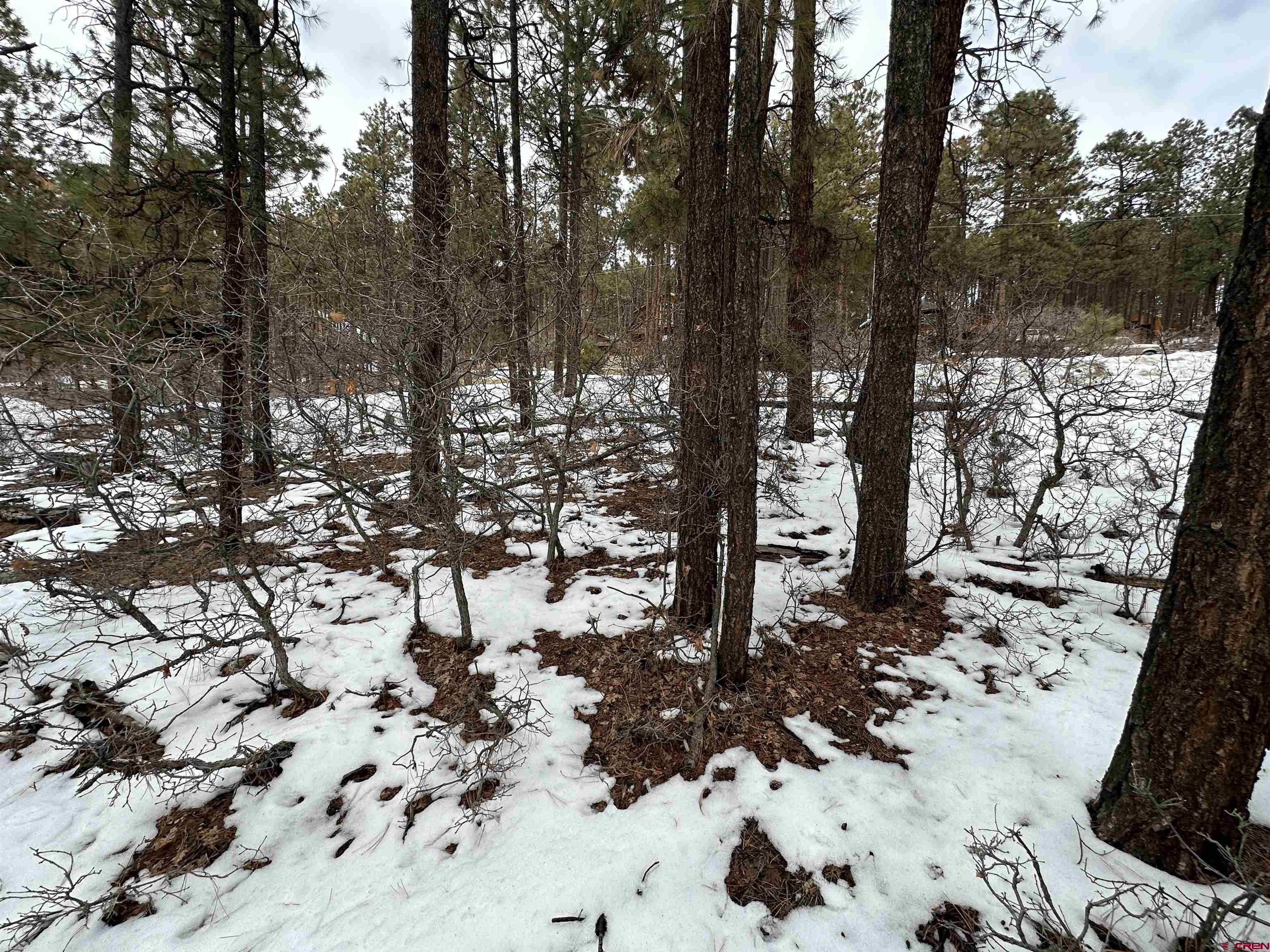 226 Elk Drive Bayfield, CO 81122 - Photo 5 of 8 a view of a forest covered with trees