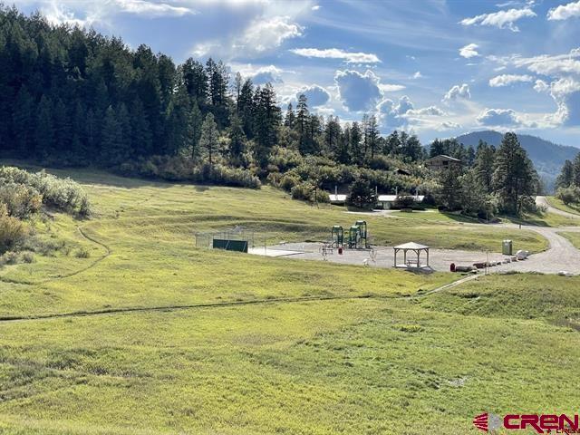 226 Elk Drive Bayfield, CO 81122 - Photo 8 of 8 a view of a swimming pool with an outdoor seating and a yard