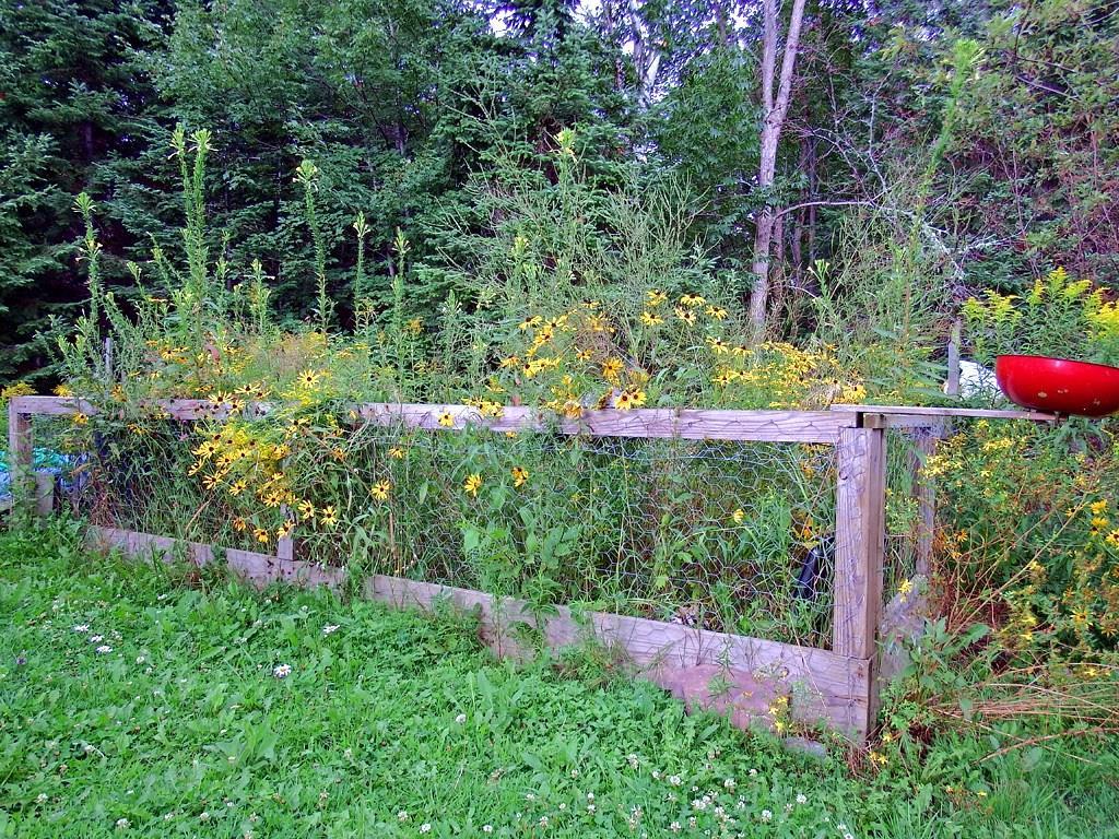 44 Nineteen Rod Road Weston, ME 04424 - Photo 31 of 35 Photo