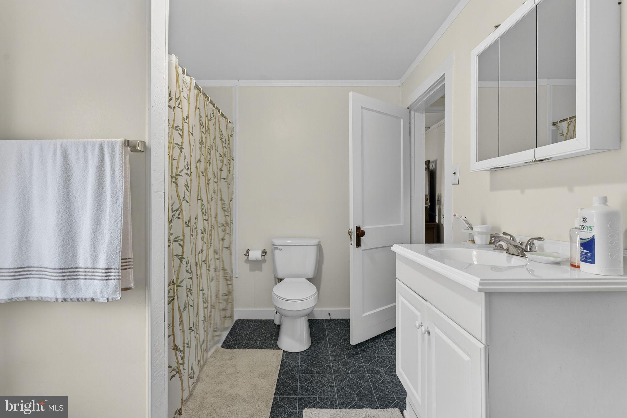 10500 Ford Hill Road Rio, WV 26755 - Photo 28 of 59 a bathroom with a sink toilet and shower