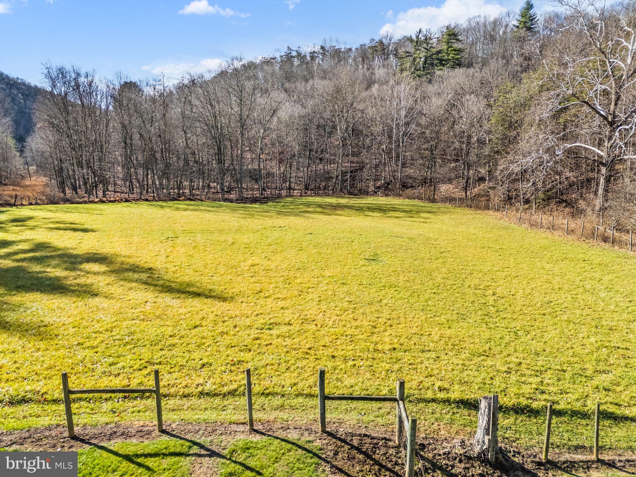 10500 Ford Hill Road Rio, WV 26755 - Photo 41 of 59 Beautiful green pastures