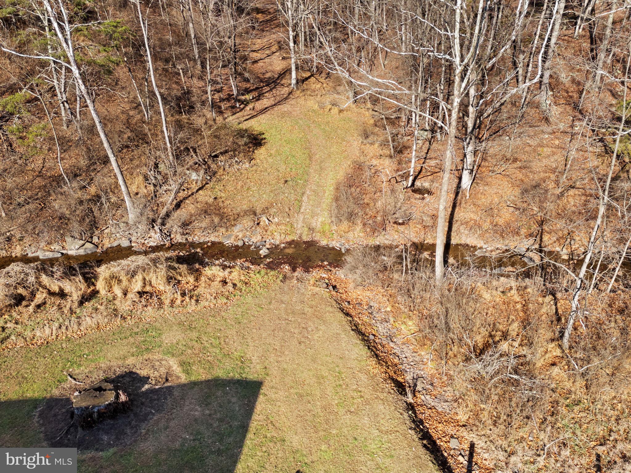 10500 Ford Hill Road Rio, WV 26755 - Photo 44 of 59 a view of yard with large trees