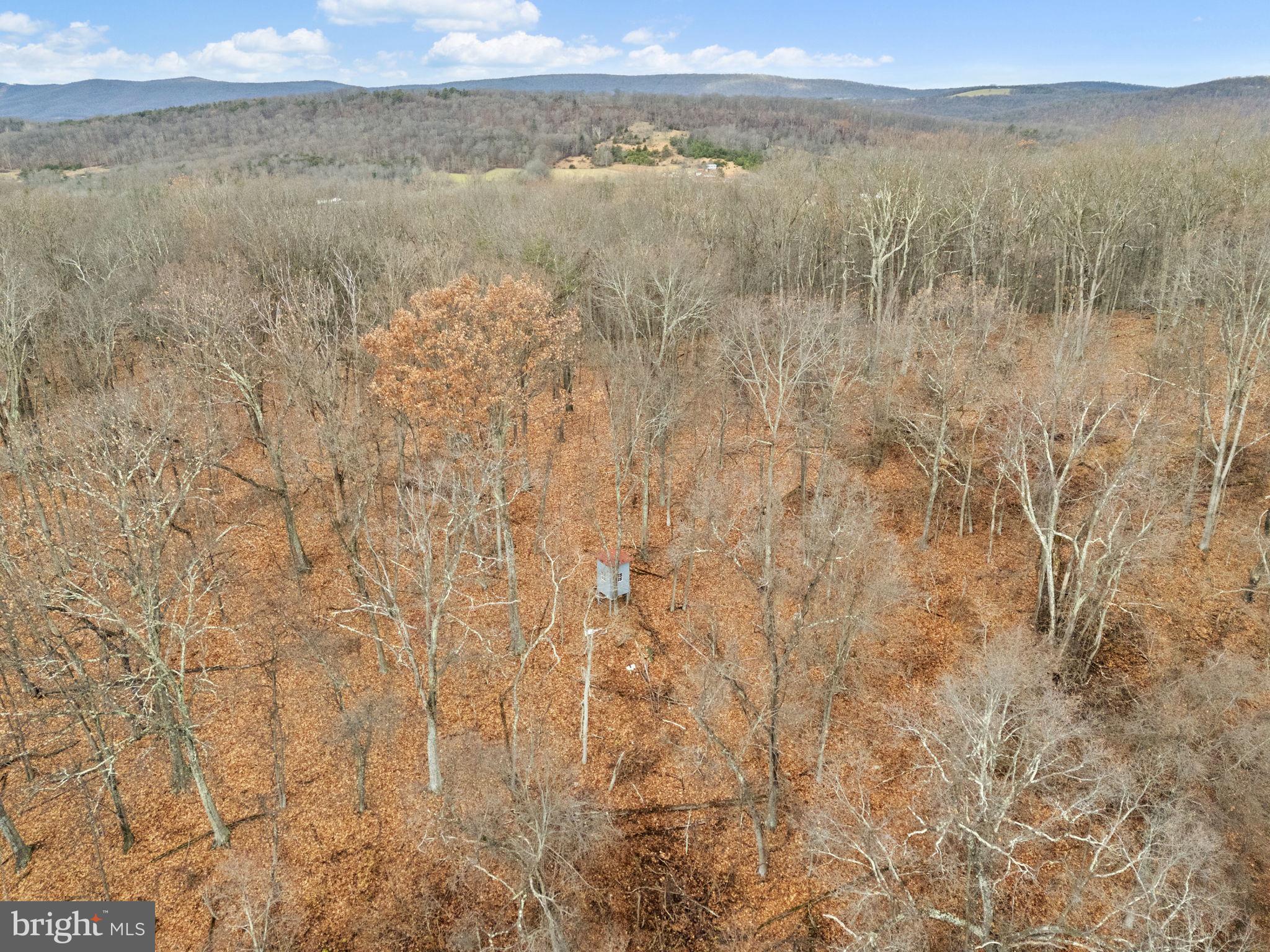 10500 Ford Hill Road Rio, WV 26755 - Photo 47 of 59