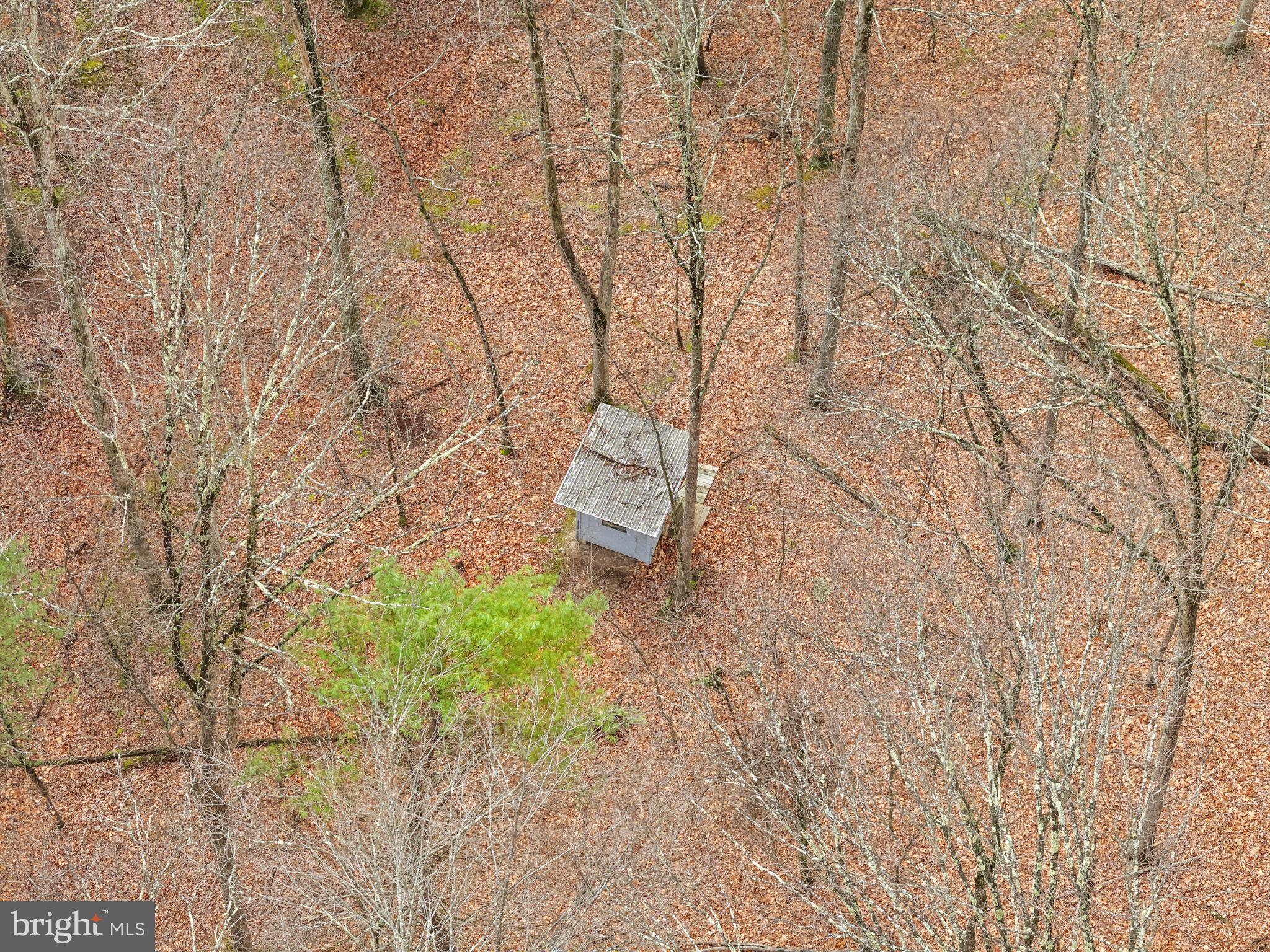 10500 Ford Hill Road Rio, WV 26755 - Photo 48 of 59 a backyard of a house