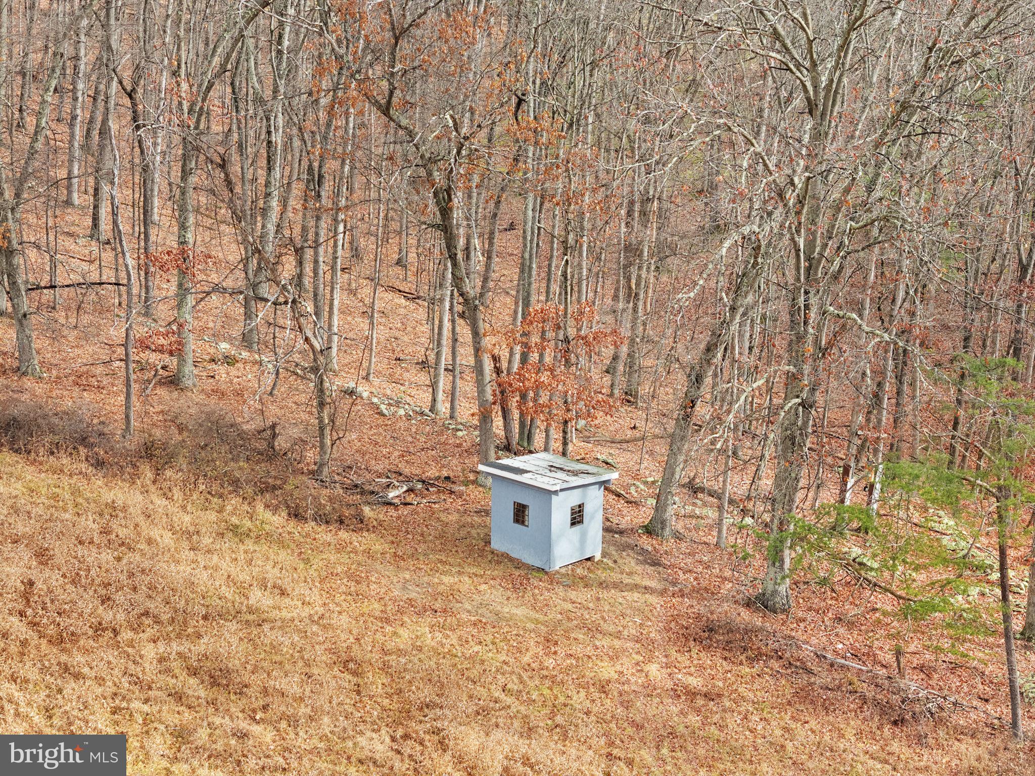 10500 Ford Hill Road Rio, WV 26755 - Photo 49 of 59 a view of a backyard with chair and potted plants